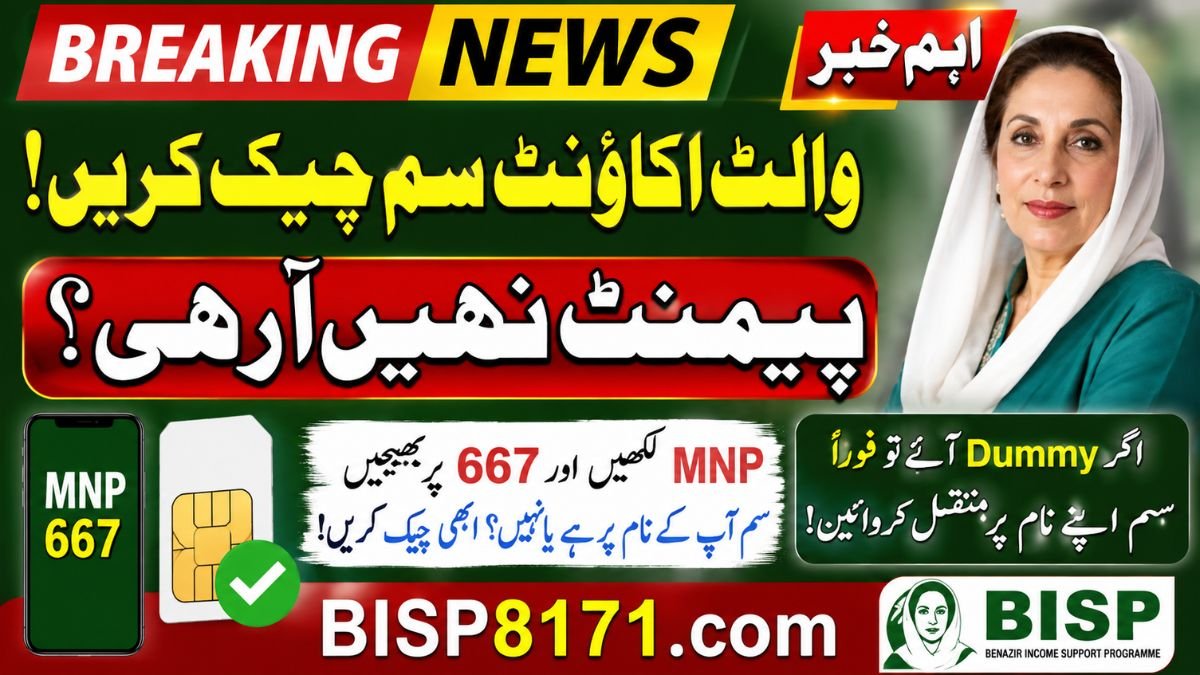 BISP Wallet Account SIM Verification: Check SIM Ownership Before Payment Transfer