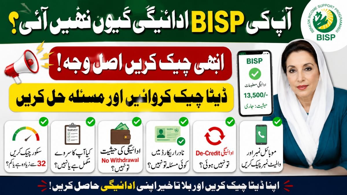 BISP Payment Not Received? Check Score, Survey, NADRA and Wallet Status